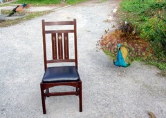 Just for fun....Single inlay chair shown with a 2 year old Peacock in display mode.  In the background is an action photo of a Peacock coming in for a landing after leaping off the roof of the house.